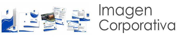 baner_diseno_de_Imagen_Corporativa